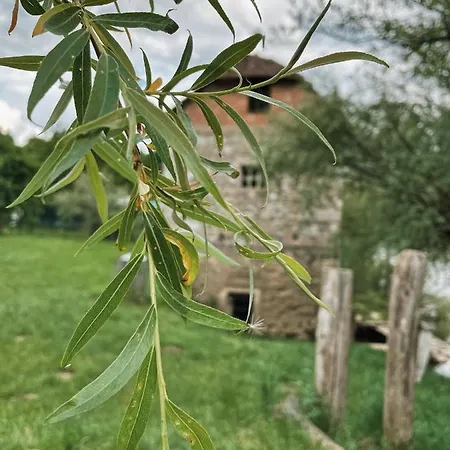 Vintage Tent At The Lovsin Estate Οργανωμένο κάμπινγκ