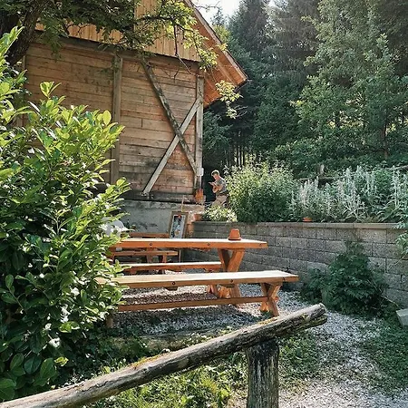 Vintage Tent At The Lovsin Estate