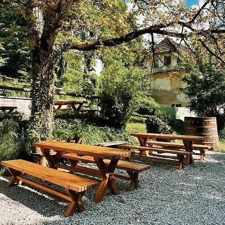 Vintage Tent At The Lovsin Estate