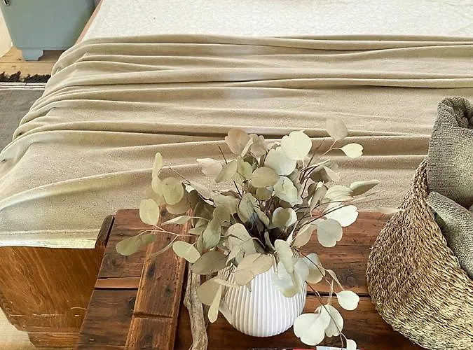 Vintage Tent At The Lovsin Estate Luxe tent *