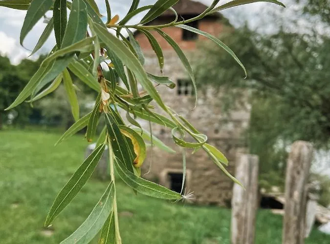 Vintage Tent At The Lovsin Estate Luxe tent