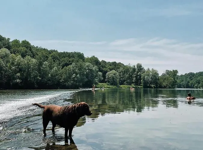 Glamping Vintage Tent At The Lovsin Estate Metlika