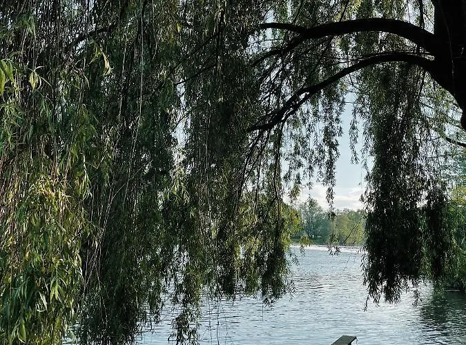 Vintage Tent At The Lovsin Estate * Metlika